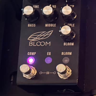 Jackson Audio Bloom Compressor / EQ V2 2019 - 2020 - Black image 1
