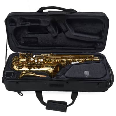 Giardinelli by Eastman GAS10 Alto Saxophone in Gold Lacquer SN 11533980 image 22