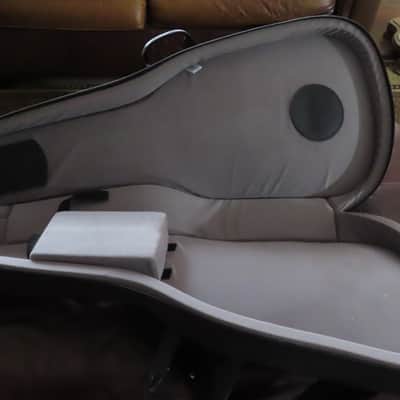 Reunion Blues 00/Classical/OM Gig Bag Black image 2