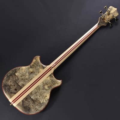 ALEMBIC SCSB4 Buckeye Resin [Stanley Clark Signature Deluxe w/Side LED's Blue] image 2
