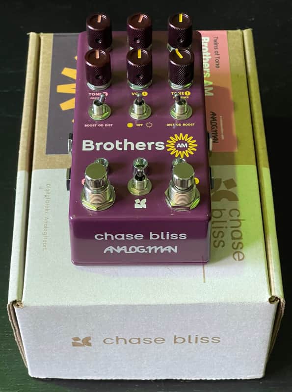 Chase Bliss Audio Brothers AM