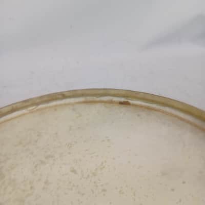 Leedy 16" 20s Calf Skin Floor Tom Drum Batter/Resonant Head USA Marching Snare image 6