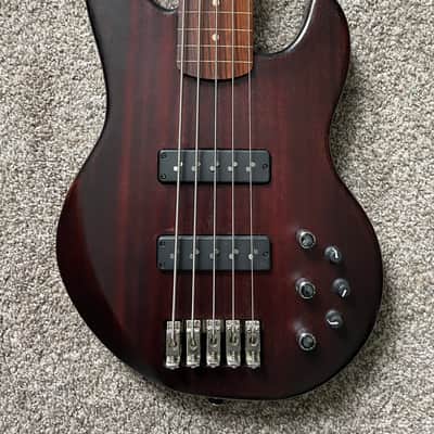 Alien Audio Constellation 5 String Fretless Bass image 2