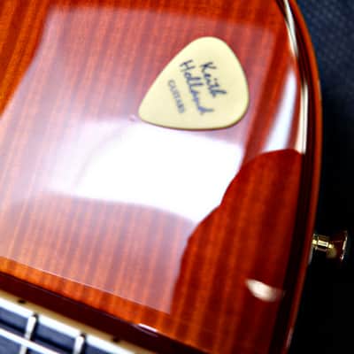 Sadowsky Jim Hall Archtop - Violin Burst image 25