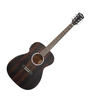 Washburn Deep Forest Folk Acoustic/Electric Guitar. Striped Ebony, New, Free Shipping  DFEFE-U image 11