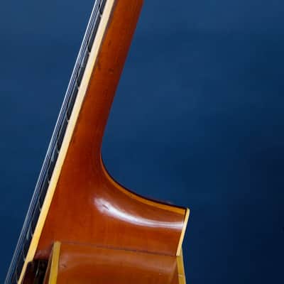 Epiphone Triumph 1944 / Here's Your Stardust Melody! image 17