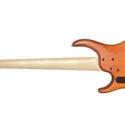MTD Kingston Z-5 (V2) Satin Amber / Maple 9.3 LBS *IN STOCK* image 8