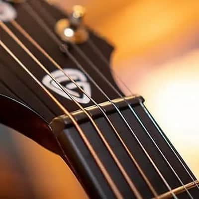 Cort Frank Gambale Signature LUXE II Acoustic-Electric w/Case, Video Demo, Fishman Flex Blend System image 9