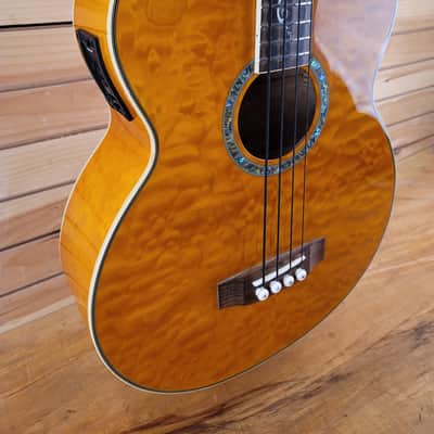 Michael Kelly Dragonfly 4AM Acoustic Bass image 4
