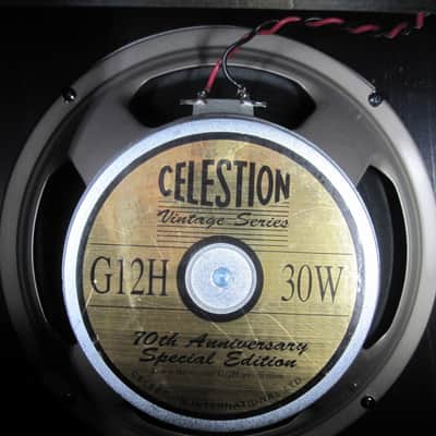 65 amps 1x12 extension cabinet with custom slip cover image 4