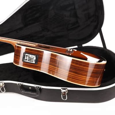 Zager ZAD-900E Acoustic-Electric Sunburst Used image 7