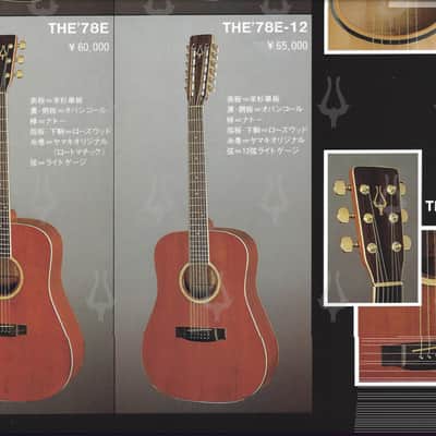 Daion Year Series '78 Heritage / 12 String With Rare Factory Transducer image 25