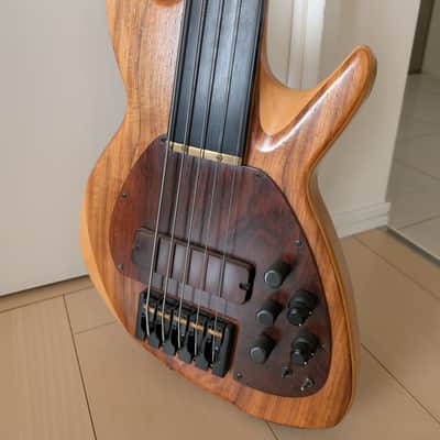 2007 Chris Larkin Reactor 5B Custom Bass | Irish Luthier | Aero