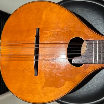 Vintage Bowlback 12 String Mandolin - Mandriola / Trichord image 21