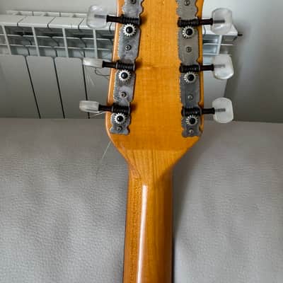 Framus Banjitar Nashville USA 70s 1970s image 5
