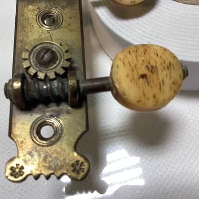Vintage 1860s - 1890s Seidel Tuning Pegs Martin Tuners image 14