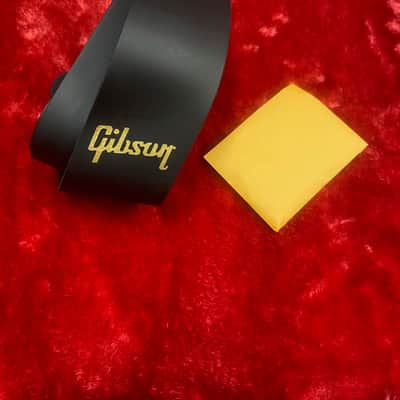 LIKE NEW: 2023 Gibson Non-Reverse Thunderbird - Faded Pelham image 9