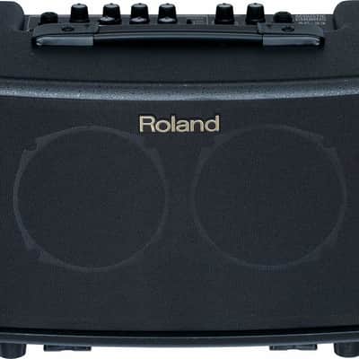 Roland AC-33RW 2-Channel 30-Watt 2x5
