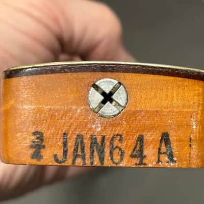 Fender Musicmaster 1964 Brazilian Rosewood Clay Dot Neck Pre-CBS Vintage short scale 1962 1963 1960's Duosonic 1960s image 4