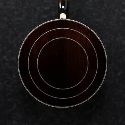 Ibanez B300 5 String Closed Back/Resonator Banjo image 2