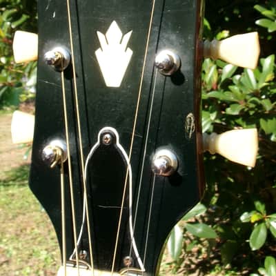 1975 Greco 202 Hummingbird Model MIJ by Fujigen Gakki image 5