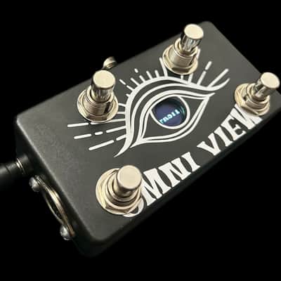 StringVelocity OmniView New Reprogrammable Midi image 1