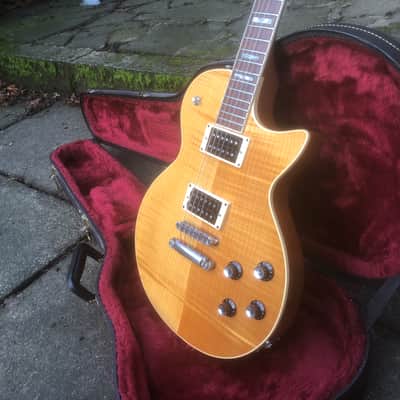 Guild Bluesbird image 10