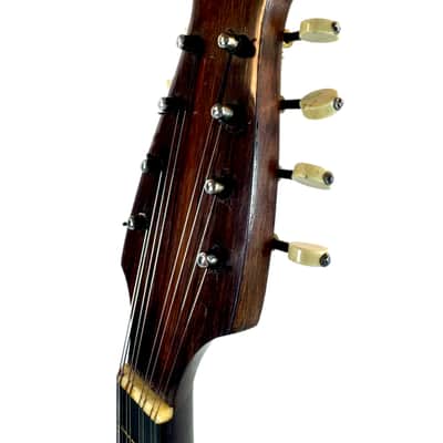 Neapolitan Mandolin G. Kasermann Style 1920's image 14