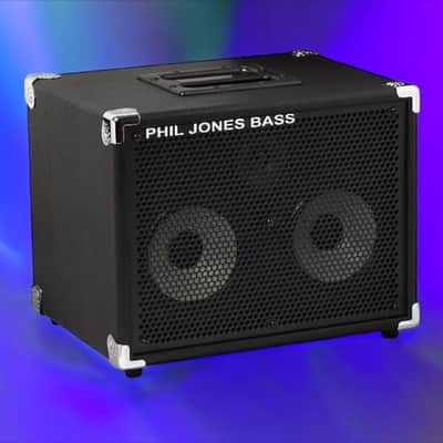 1969 Vintage Ampeg B25B Bass Cab, 2x15