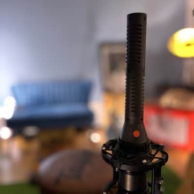 Royer SF-24 Stereo Active Ribbon Microphone 2010s - Black image 2