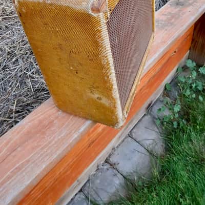 Fender Harvard 1957 Tweed Amp, Vintage! image 17