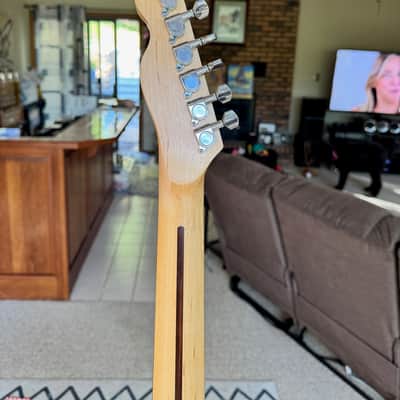 Old Growth Hackenberry wood Telecaster  body with  Fender Tex Mex pickups image 6
