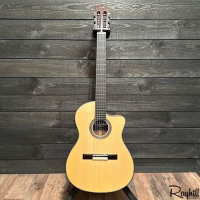 Cordoba Fusion 14 Maple Spruce Top Nylon String Acoustic-Electric Guitar image 15