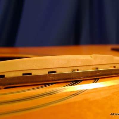 Takamine G Series CP-100 Pickup Assembly with SHIM SET / TGP0897 image 9