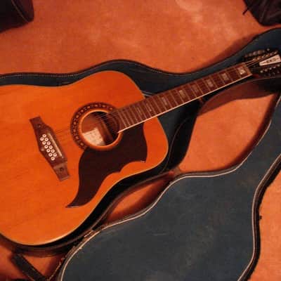 EKO Ranger 12-String Vintage Acoustic Guitar Made in Italy with Chip Case image 7