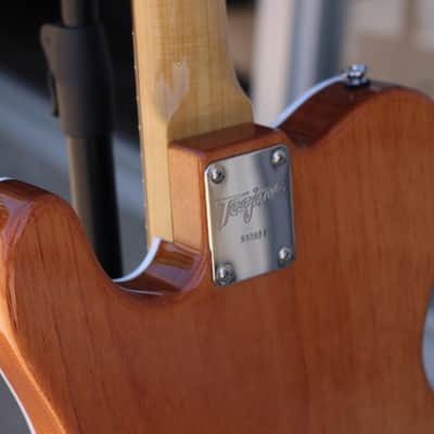 Tagima - Marcinho Eiras Signature New Blues Electric Guitar - Free Shipping! image 13