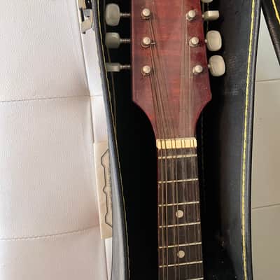 Montana ELM 100 A-Style Mandolin by Kaman Music Corporation — Made in Romania — w/ Hard Case image 5