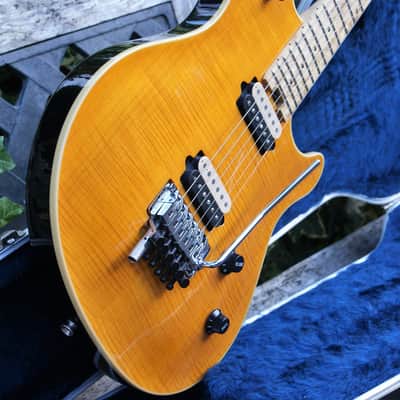 Mint Condition USA Peavey Wolfgang EVH Trans Amber with 'D-Tuna' & OHC image 5