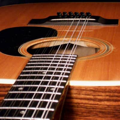 1970s Yamaki Western Deluxe 12-string acoustic, solid cedar top