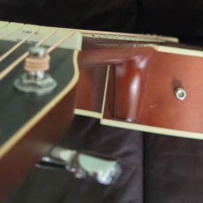 *With Case, Strap and Capo* Seagull Entourage Dreadnought CW QIT 2010s - Autumn Burst image 13