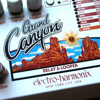 EHX "Grand Canyon Delay and Looper" image 8