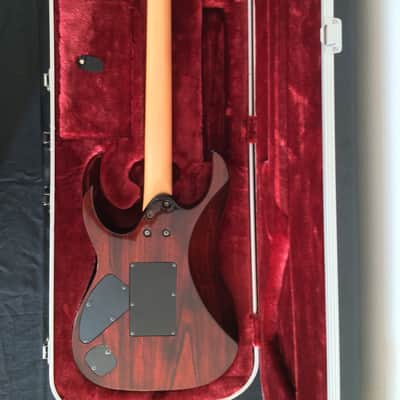 Ibanez J Custom SHOP - RG 1320 1996 - Brown. RARE FIND! image 5