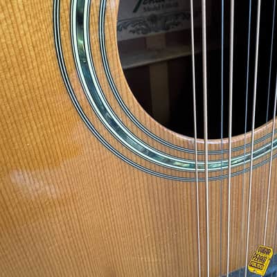 Fender F-55-12 1972 - 1978 image 6