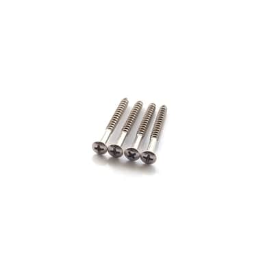 Guitar Neck Plate Screws - Chrome x4 image 2