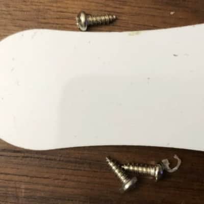 2021 Epiphone Les Paul Special II Electric Guitar Truss Rod Cover With Screws image 2