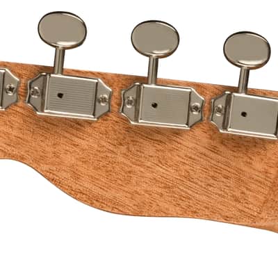 Fender Zuma Exotic Concert Ukulele, Walnut Fingerboard, Bocote image 6