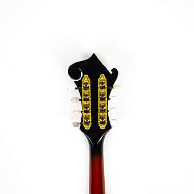 Michael Kelly F Style Mandolin Owned by Matt Freeman Of Rancid image 6