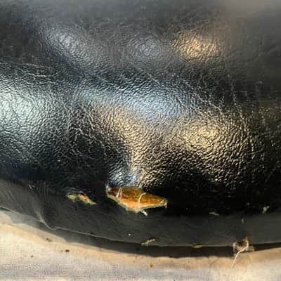 Unknown Drum Throne Head image 3