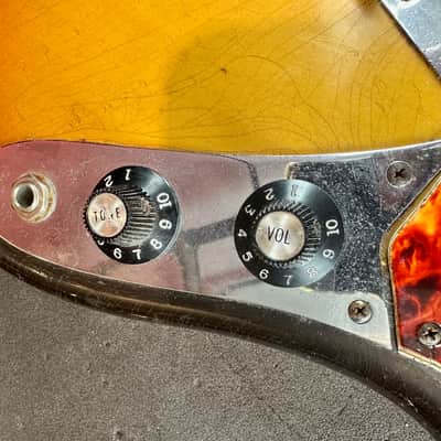 Fender Electric XII from 1966 in 3-tone sunburst with case image 17