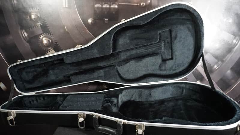 ABS Molded Acoustic Hard Case image 1